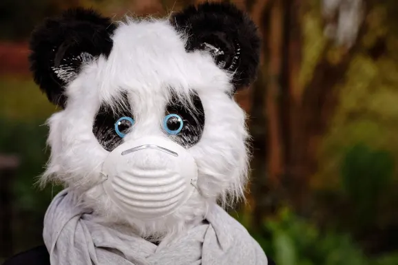 SlotsWin Kasino Sokongan